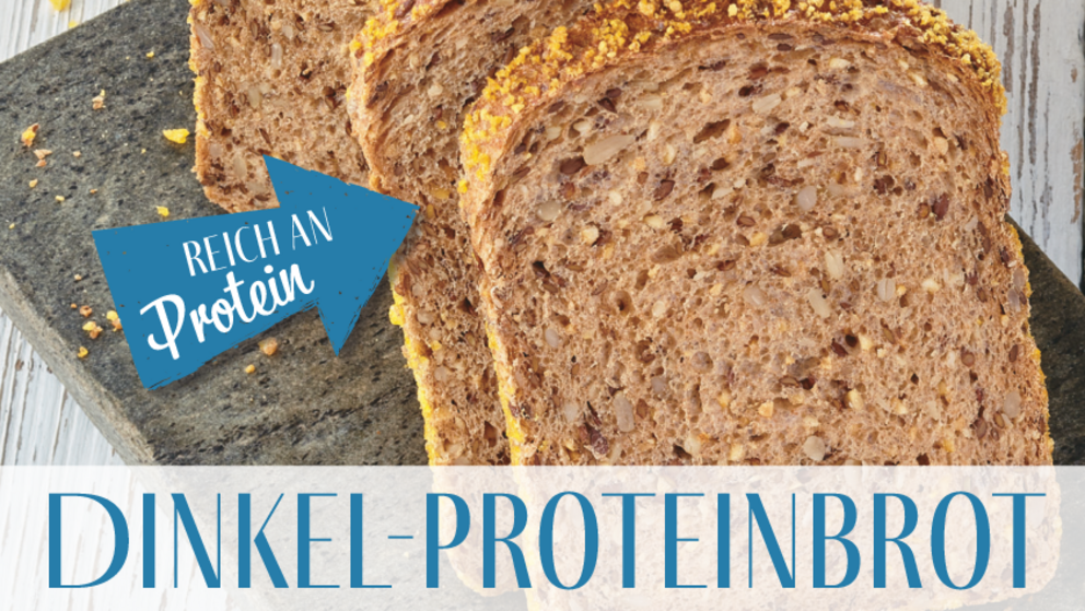 Dinkel-Proteinbrot aufgeschnitten auf Schiefernplatte, dahinter ganze Laibe, Pfeile mit den Schlagwörtern hoher Ballaststoffgehalt, 100 % dinkel und reich an Protein weisen auf das Brot